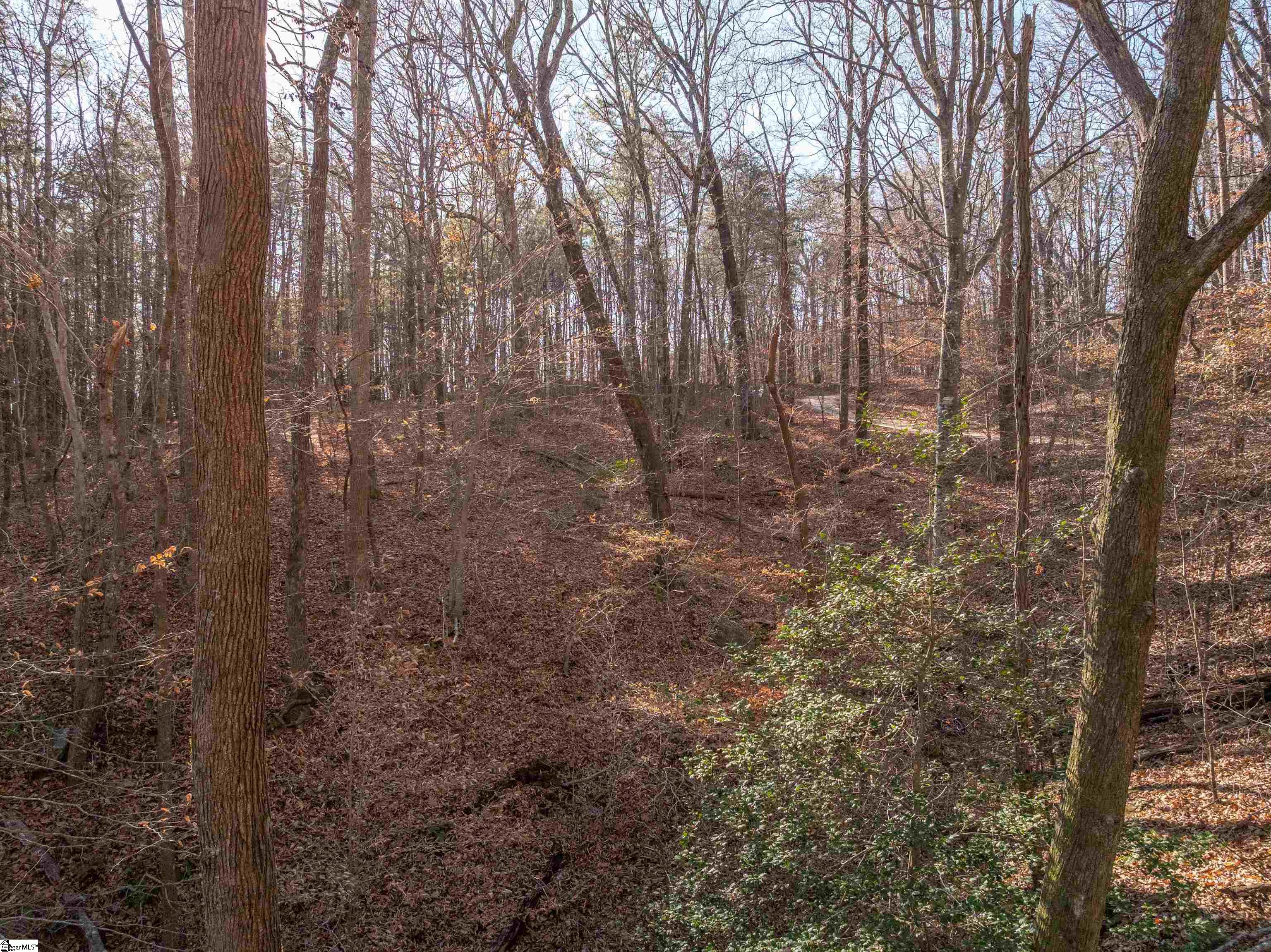 0 Pittman Road Landrum, SC 29356 - Photo 21 of 25