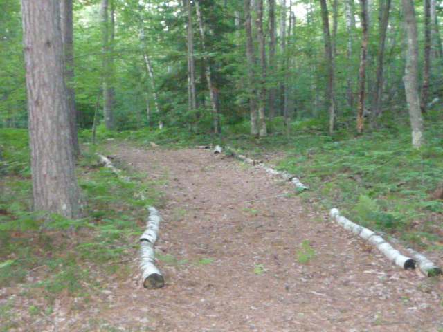 Near Spring Lake Road Eagle River, WI 54521 - Photo 5 of 7 Gallery Image 5