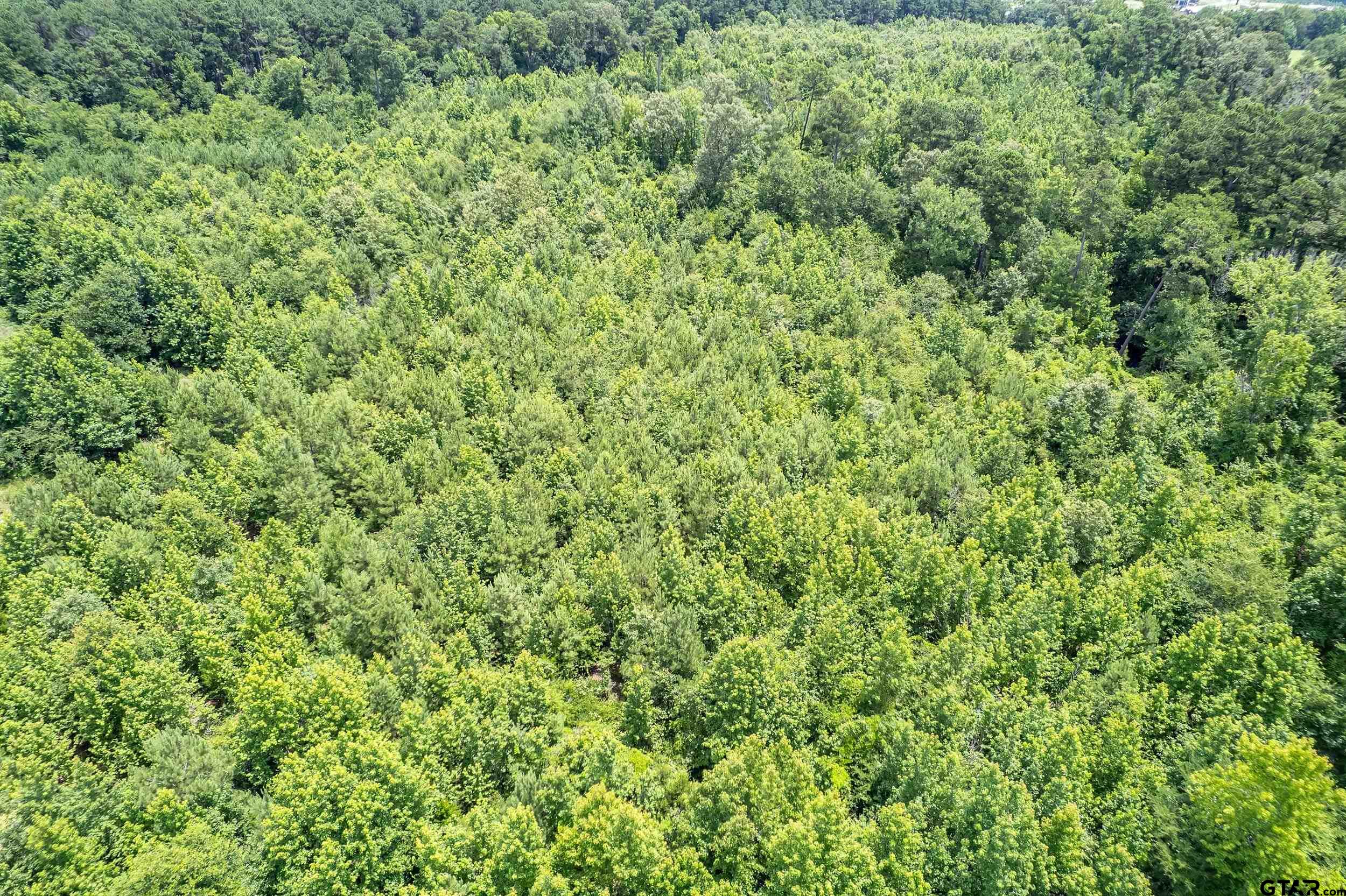 0 C R 353 Tyler, TX 75708 - Photo 12 of 18 a view of a green field