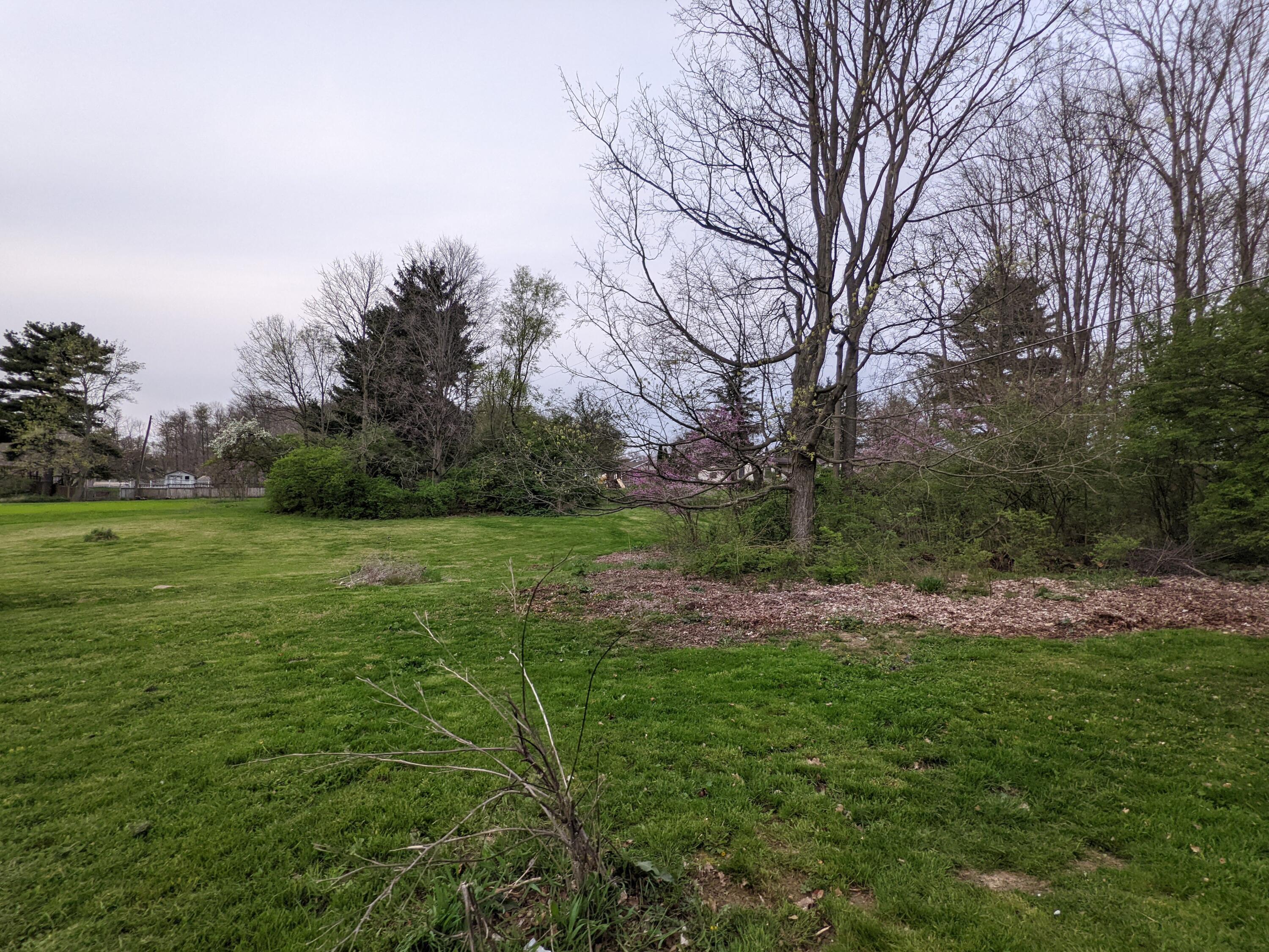 7445 Riverside Drive Powell, OH 43065 - Photo 10 of 21 PXL_20220428_235905222
