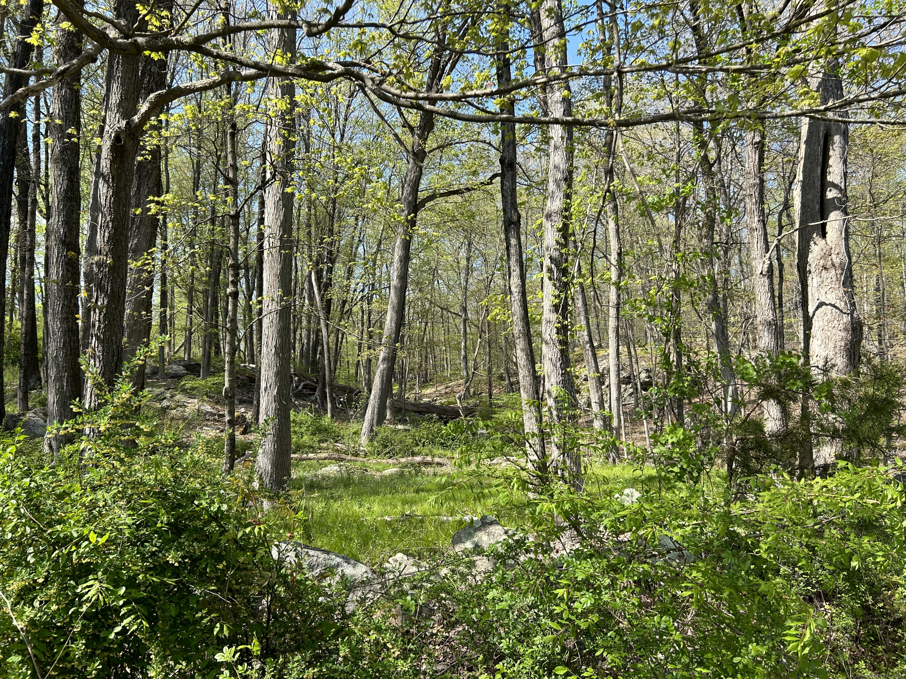 16 Old Farm Road Weston, CT 06883 - Photo 1 of 1