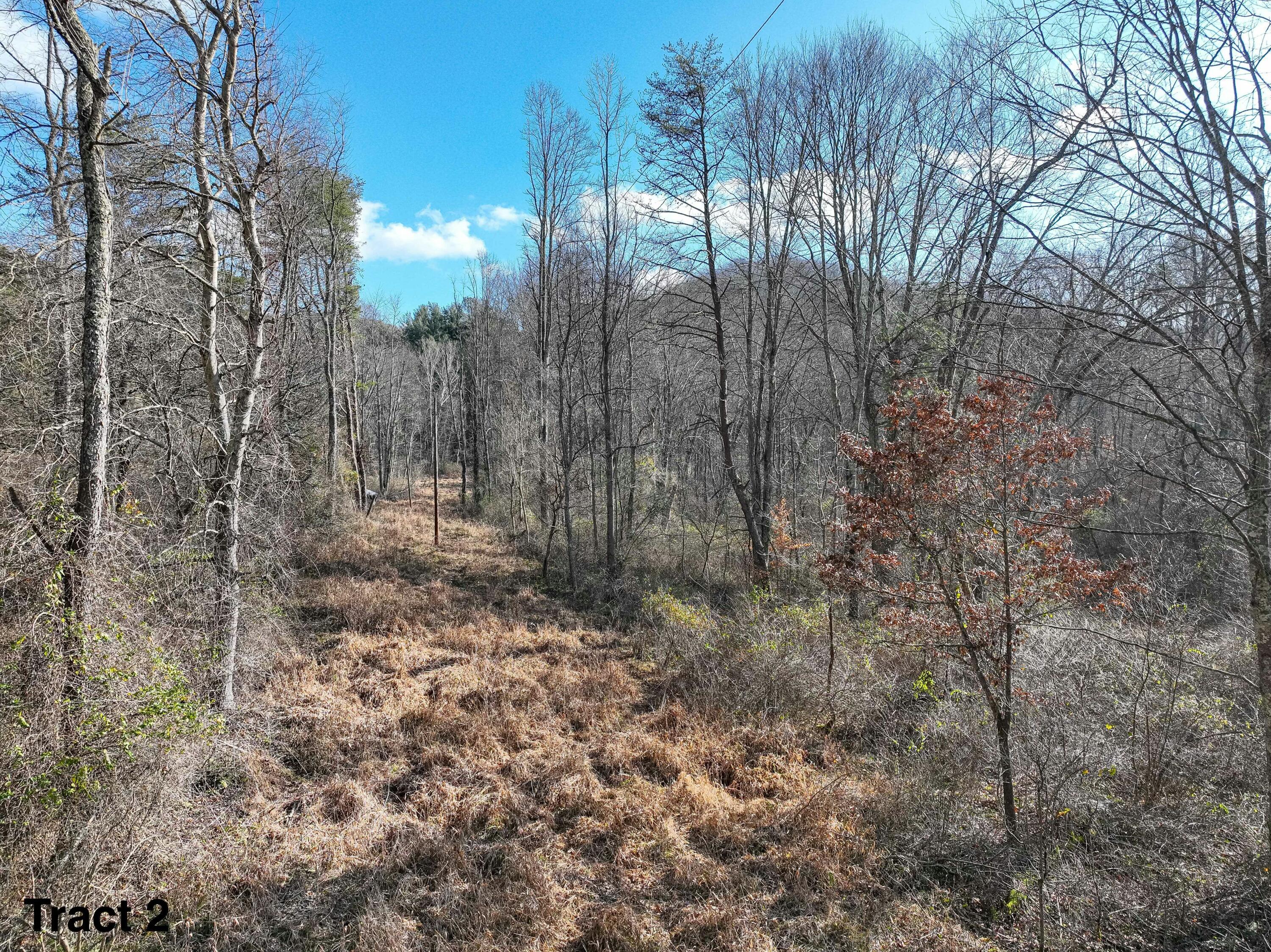 24453 Woltz Road Rockbridge, OH 43149 - Photo 17 of 28 tempImageEkenll
