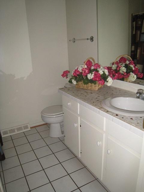 5421 Grandin Rd Extension Roanoke, VA 24018 - Photo 9 of 15 Hall Bath Vanity