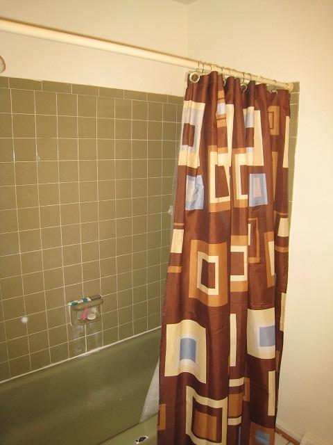 5421 Grandin Rd Extension Roanoke, VA 24018 - Photo 10 of 15 Hall Bath Tub