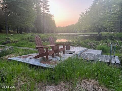 391 Antler Lake Road Johnsburg, NY 12886 - Photo 19 of 46 dock