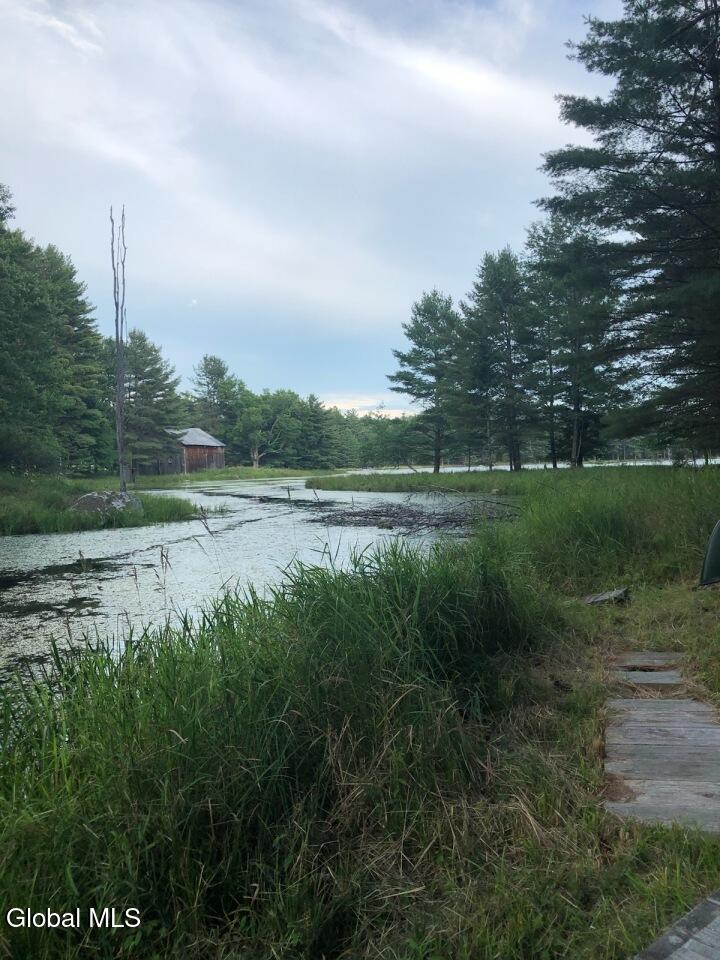 391 Antler Lake Road Johnsburg, NY 12886 - Photo 20 of 46 dock (2)