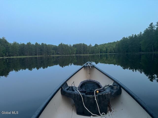 391 Antler Lake Road Johnsburg, NY 12886 - Photo 21 of 46 on the lake