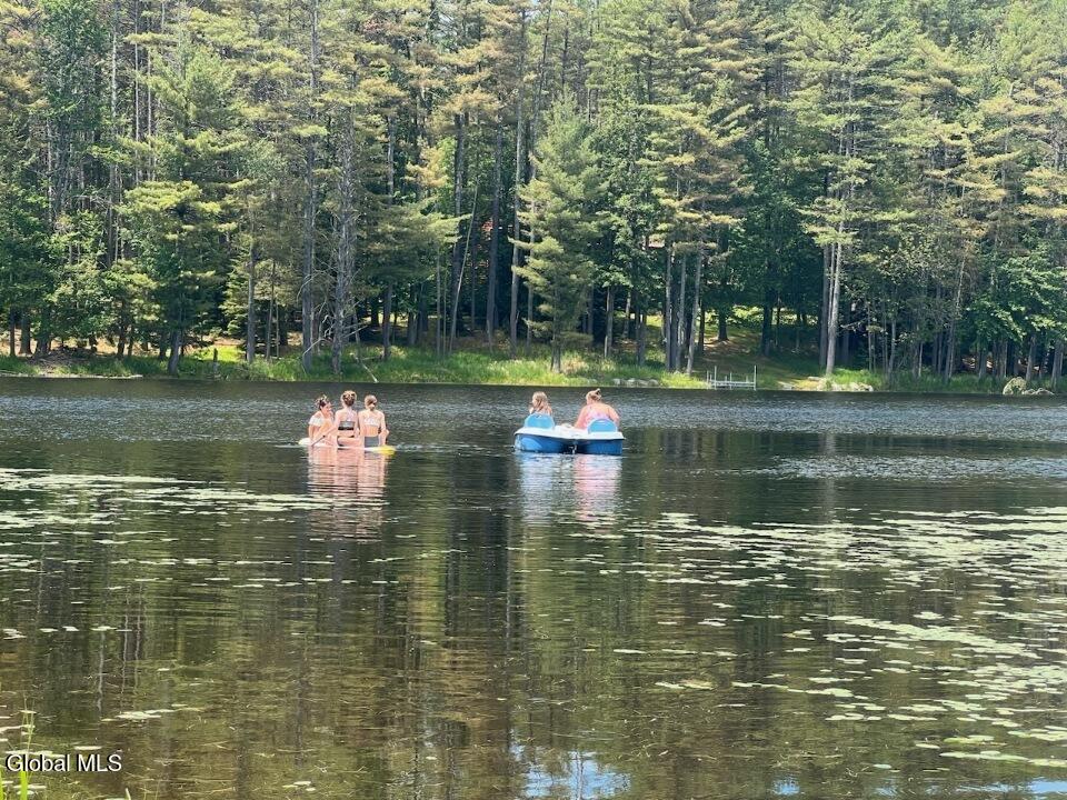 391 Antler Lake Road Johnsburg, NY 12886 - Photo 23 of 46 on the lake (3)