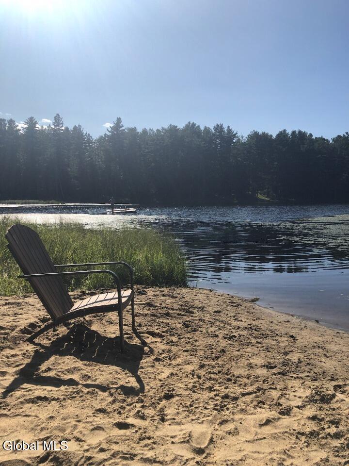 391 Antler Lake Road Johnsburg, NY 12886 - Photo 25 of 46 HOA beach