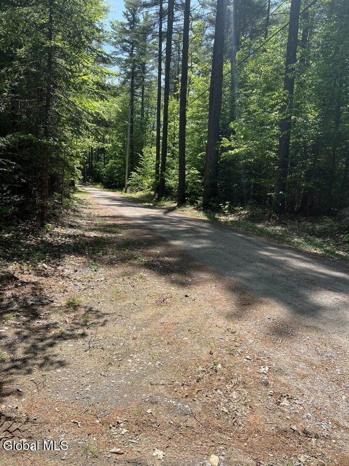 391 Antler Lake Road Johnsburg, NY 12886 - Photo 7 of 46 driveway