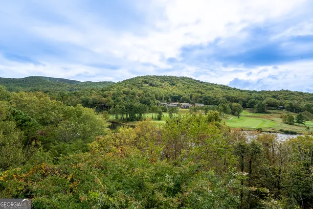 a view of a hallway with wooden floor and entryway