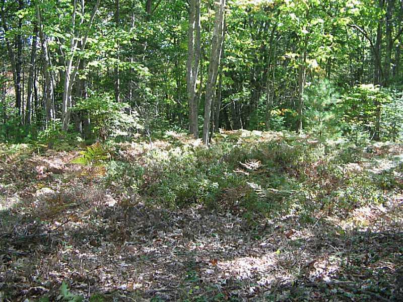 127-1 Oak Ridge Road Kennebunkport, ME 04046 - Photo 15 of 15 Other.