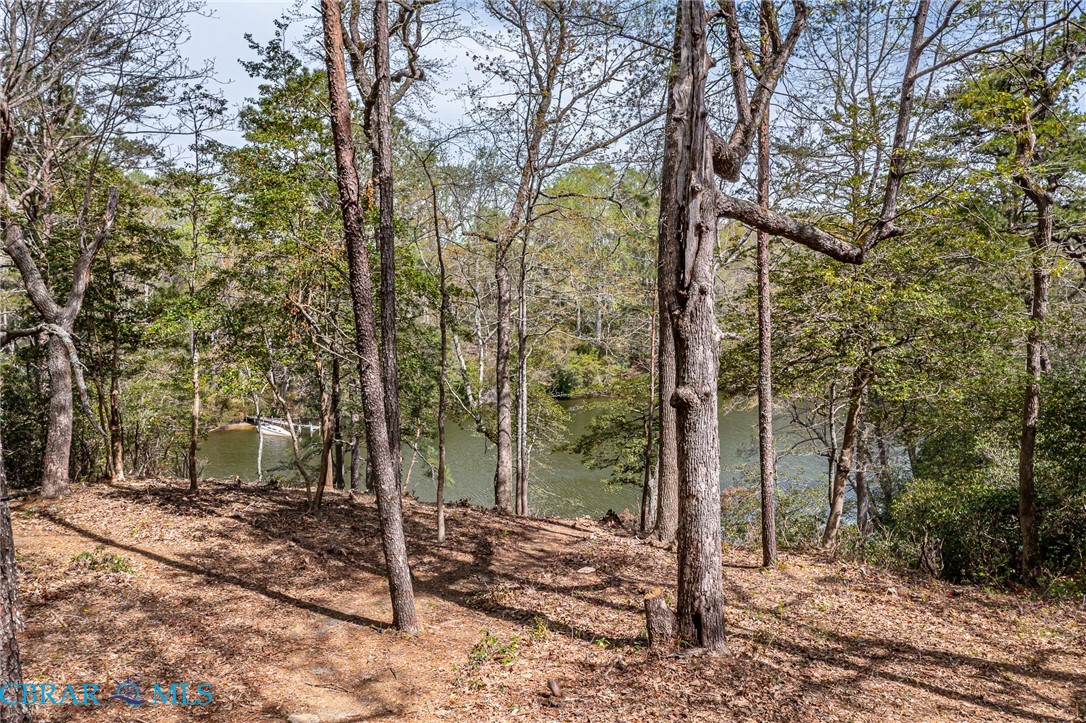 Lot 188 Ottoman Ferry Road Lancaster, VA 22503 - Photo 4 of 17