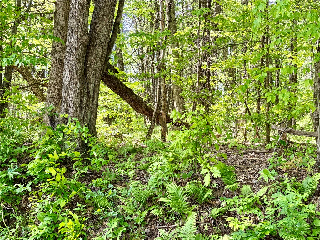 0 Maples Road Milford, NY 13807 - Photo 6 of 9