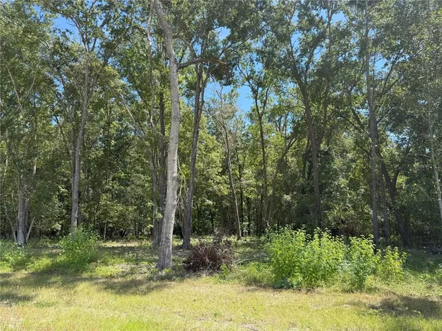 $249,900 | 3 Northwest 193rd Street, Reddick, FL 32686