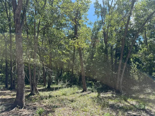 $249,900 | 3 Northwest 193rd Street, Reddick, FL 32686