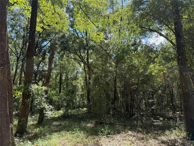 $249,900 | 3 Northwest 193rd Street, Reddick, FL 32686