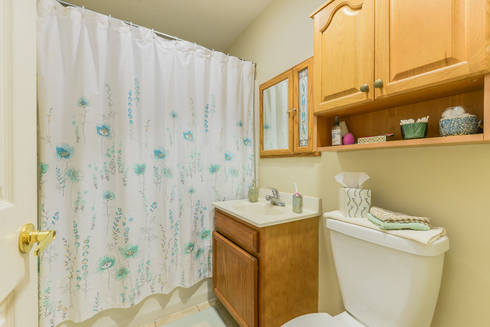 169 East Palatine Road, Unit F Palatine, IL 60067 - Photo 6 of 10