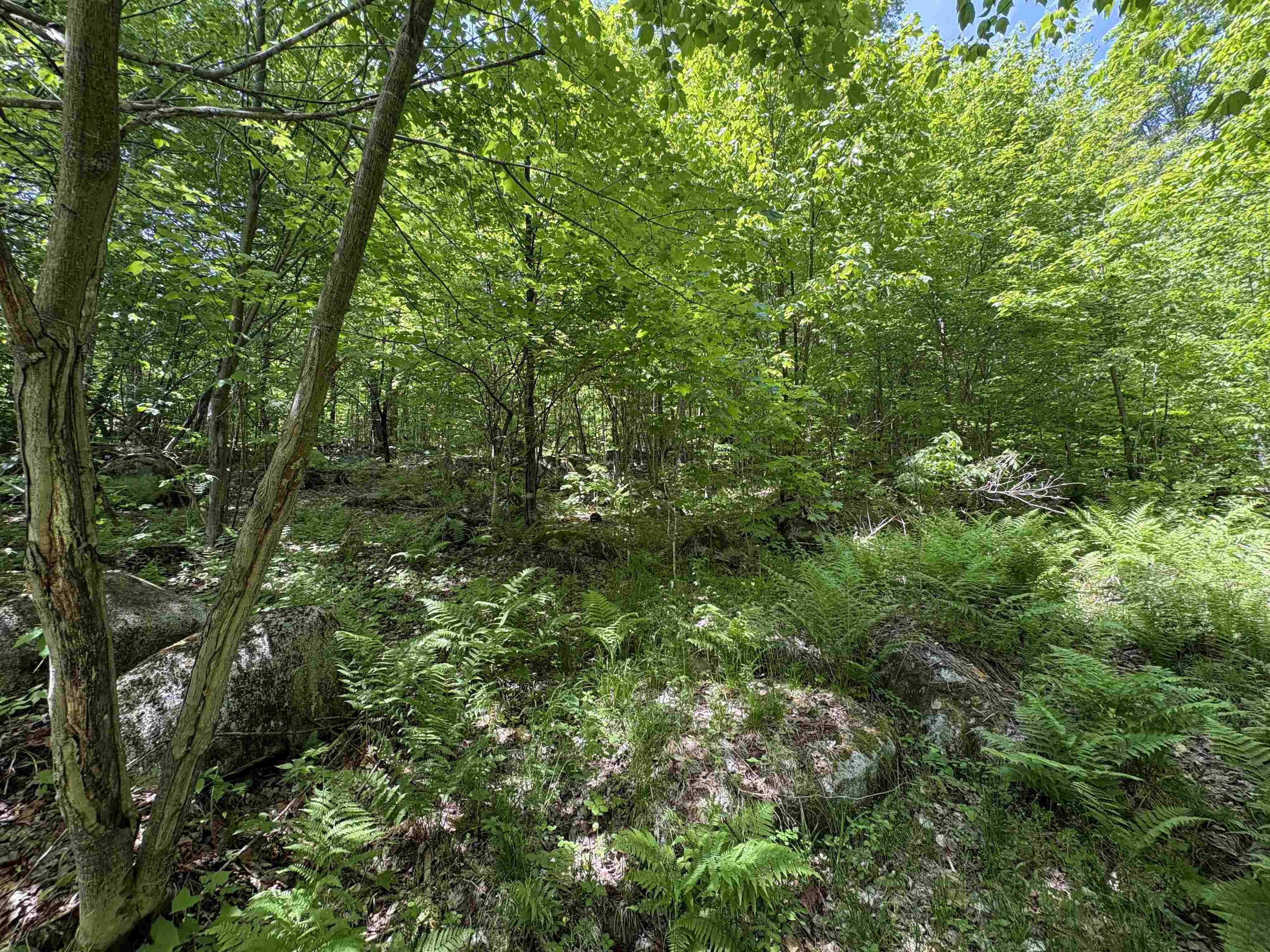 0 Old Pond Hill Road Lunenburg, VT 05906 - Photo 15 of 60 Gallery Image 15