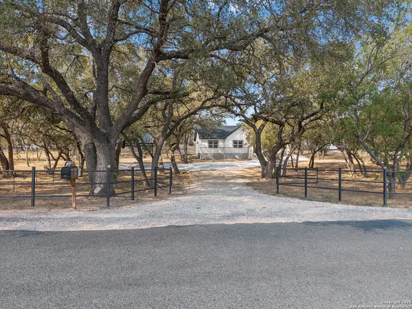a row of trees with side of house