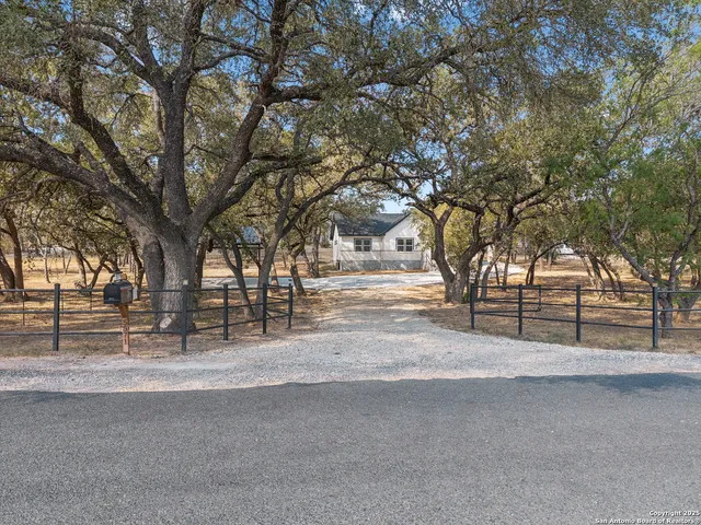 a row of trees with side of house