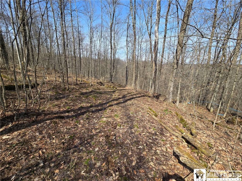 0 West Cobb Road Falconer, NY 14733 - Photo 3 of 49