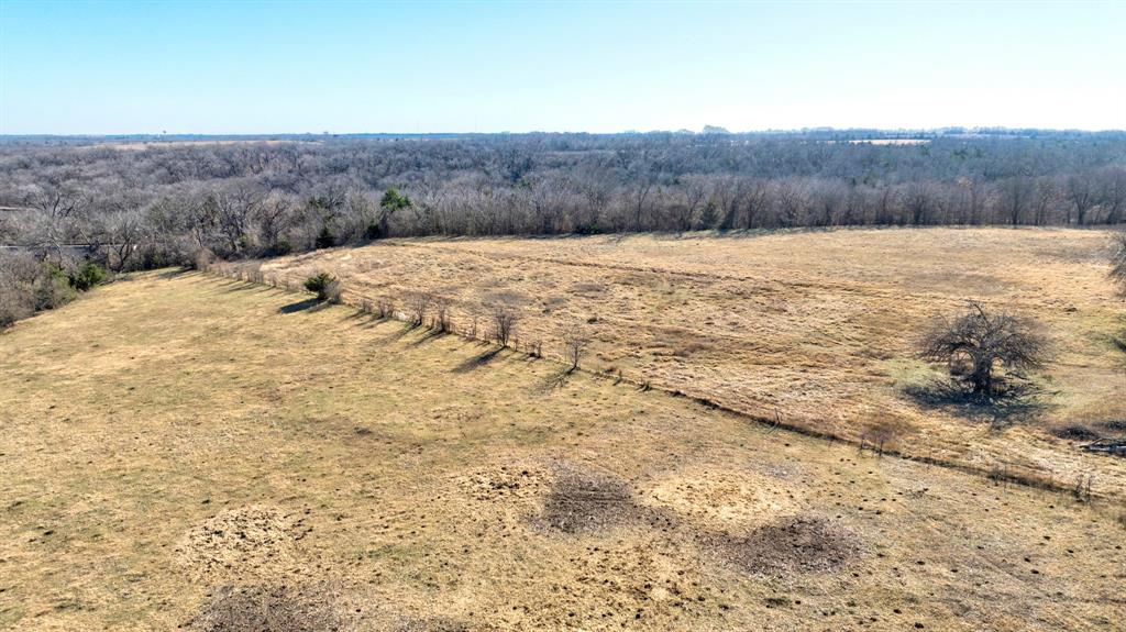 3356 Old Dorchester Road Sherman, TX 75092 - Photo 2 of 22 a view of a dry yard with mountain
