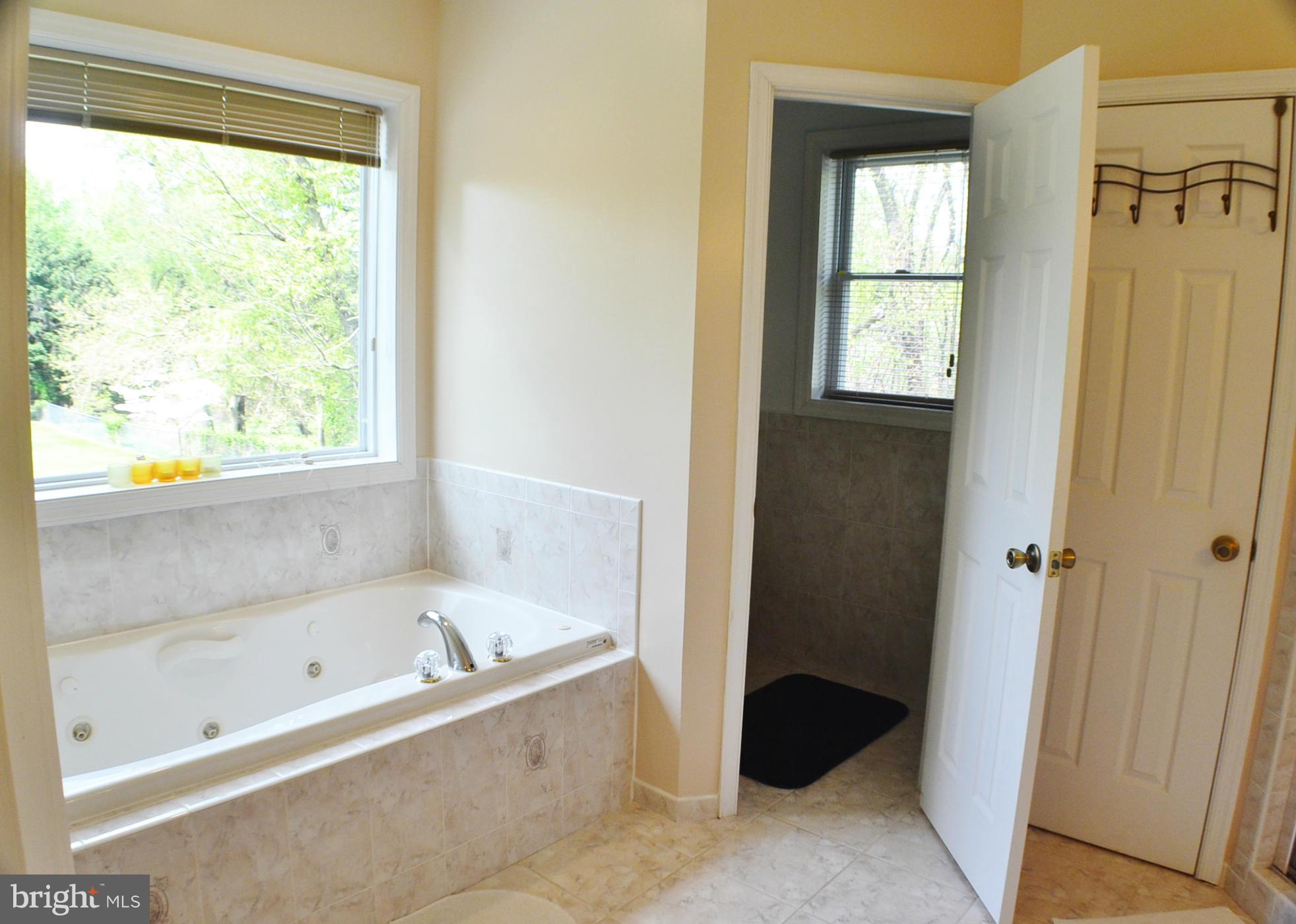 8224 Higham Road Lorton, VA 22079 - Photo 19 of 30 Bath (Master)