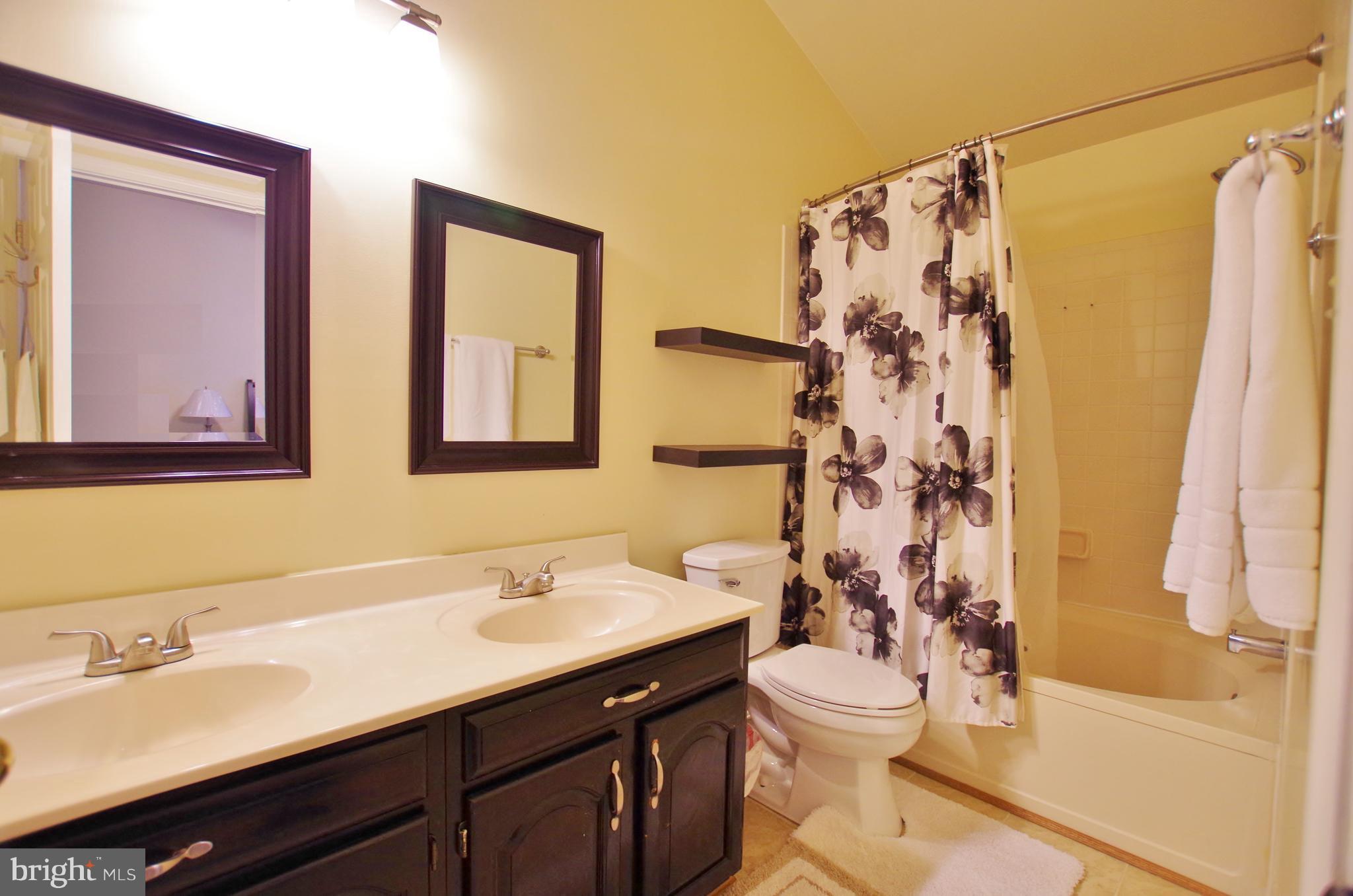 14156 Compton Valley Way Centreville, VA 20121 - Photo 11 of 23 Bath (Master)