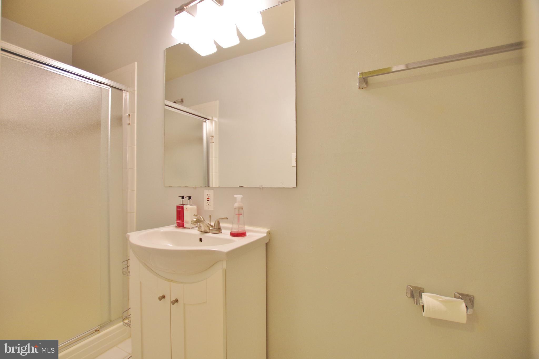 14156 Compton Valley Way Centreville, VA 20121 - Photo 20 of 23 Bath (Master)