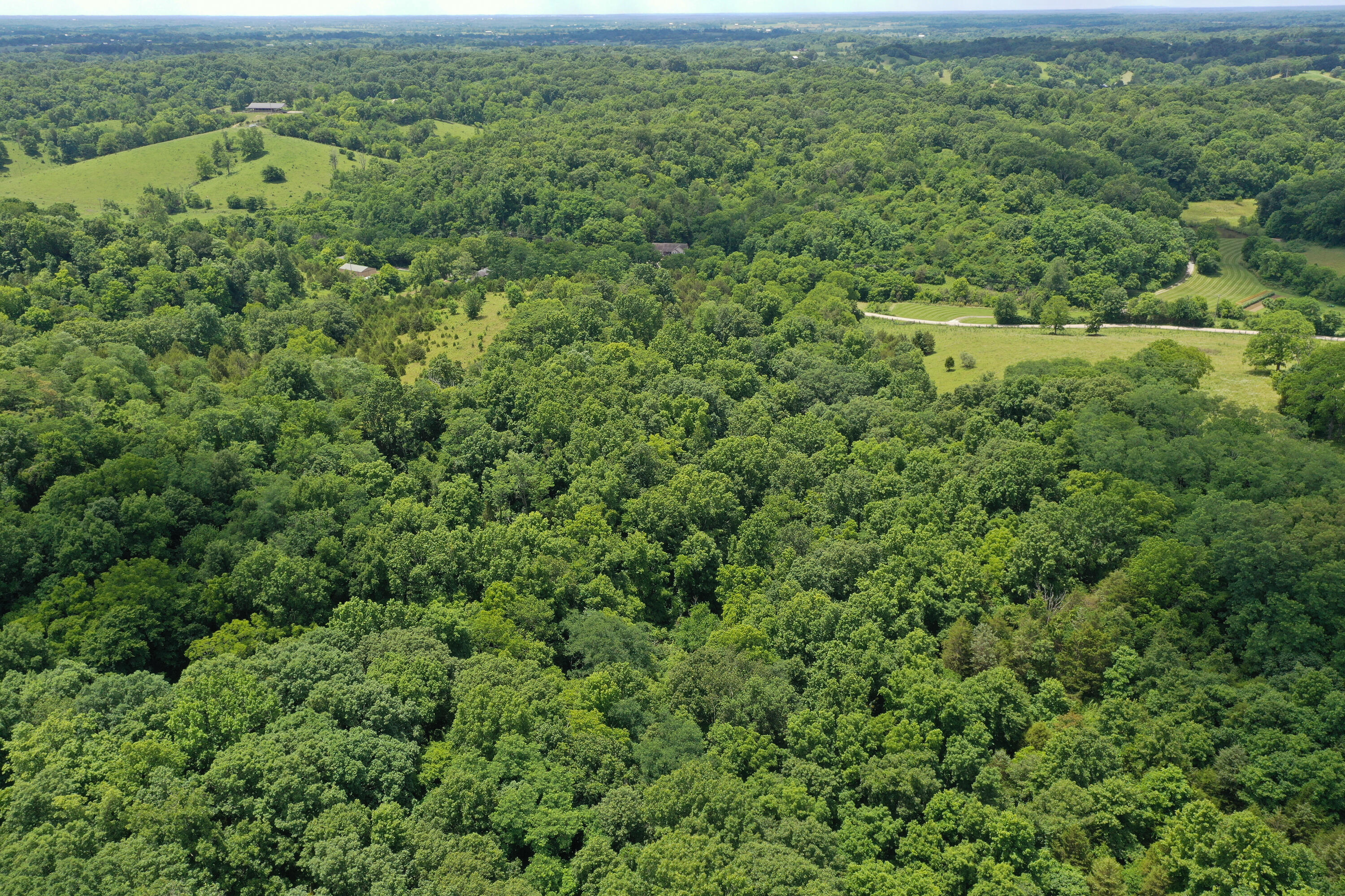 0 Long Lick Road Stamping Ground, KY 40379 - Photo 10 of 15 2-6
