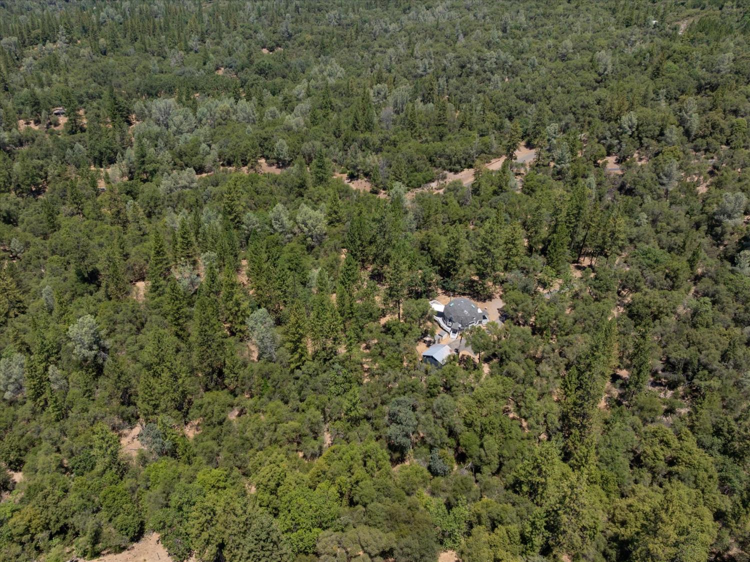 1410 Sand Ridge Road El Dorado, CA 95623 - Photo 50 of 51