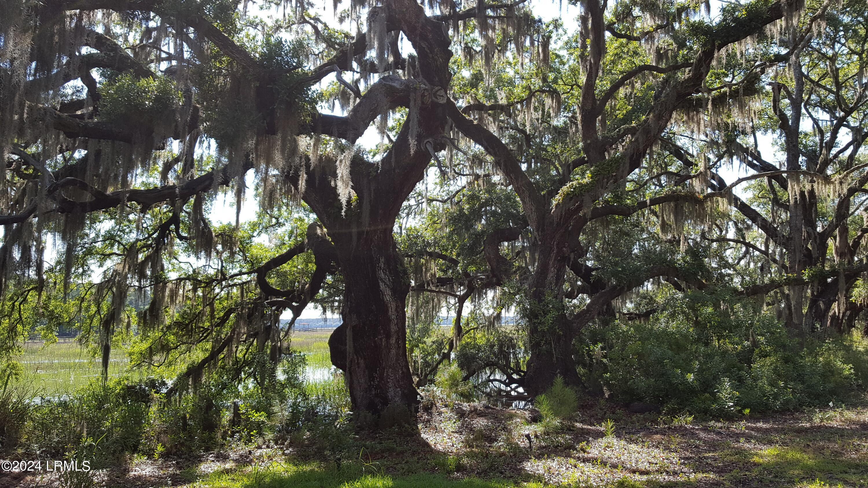 1 Bennett Point Drive, Unit A Beaufort, SC 29907 - Photo 41 of 41 20160530_165409