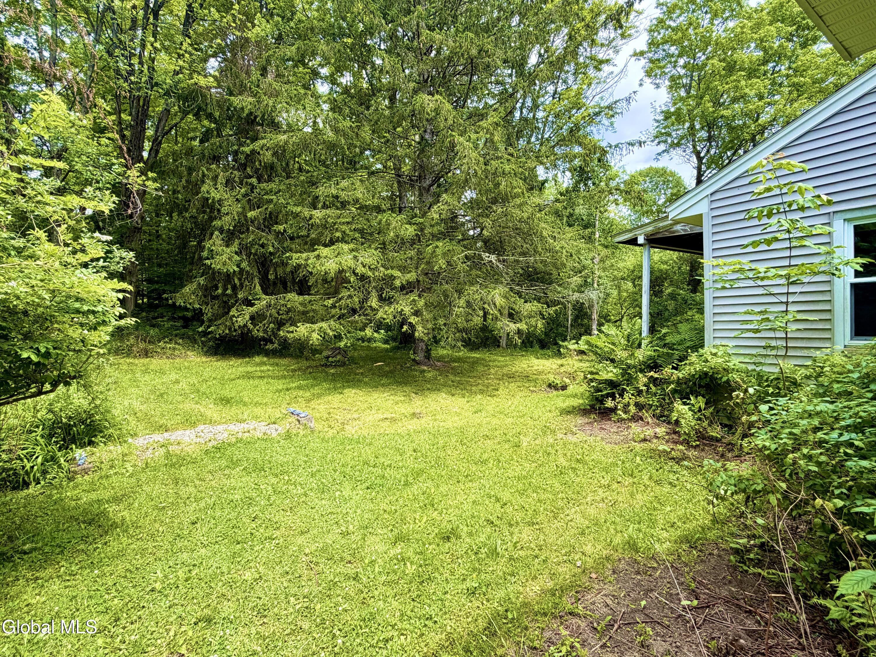 166 Potter Road Glenville, NY 12010 - Photo 38 of 38 Potter Back 7