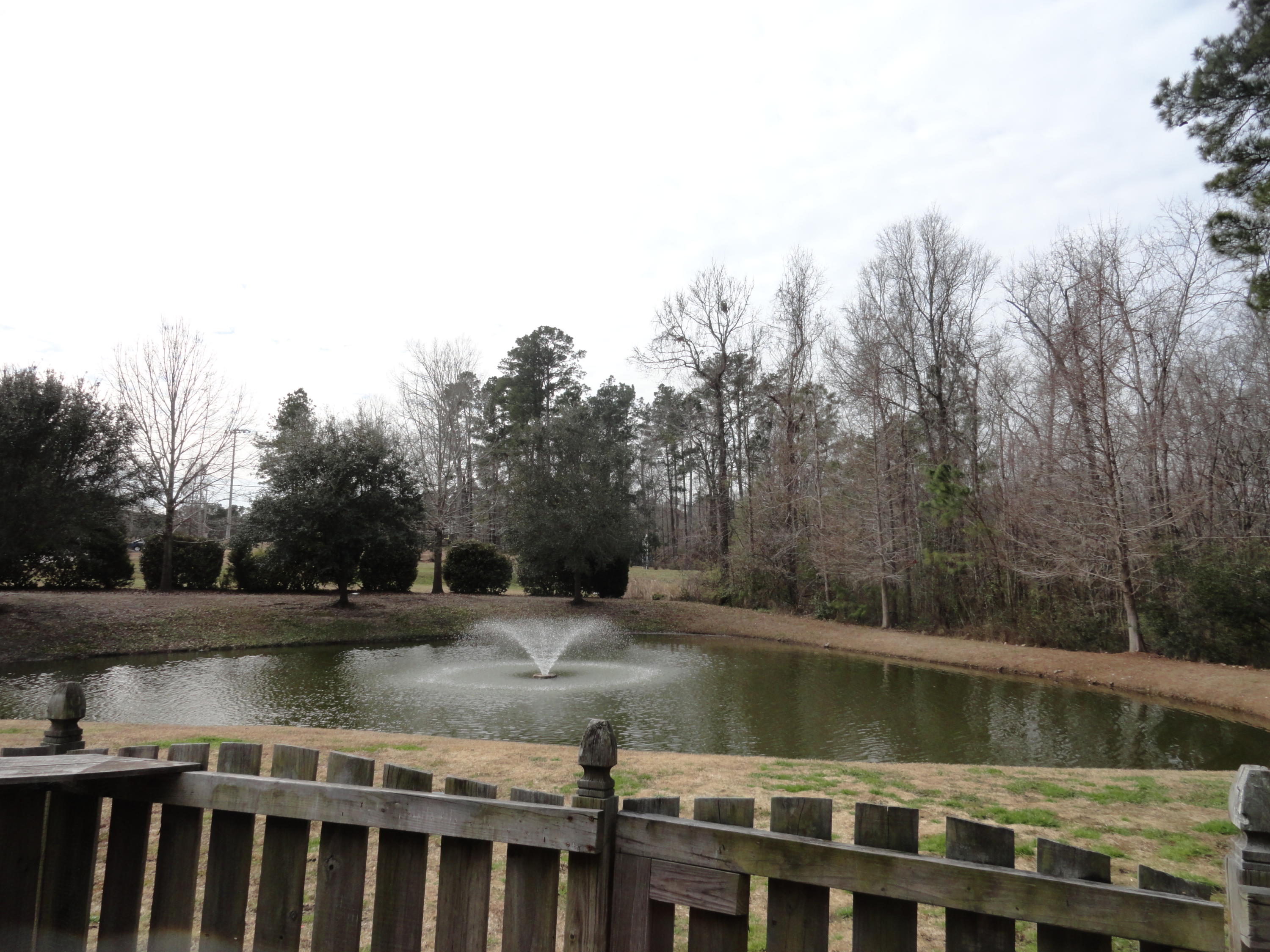 271 Brookshire Road Goose Creek, SC 29445 - Photo 10 of 10 DSC04301