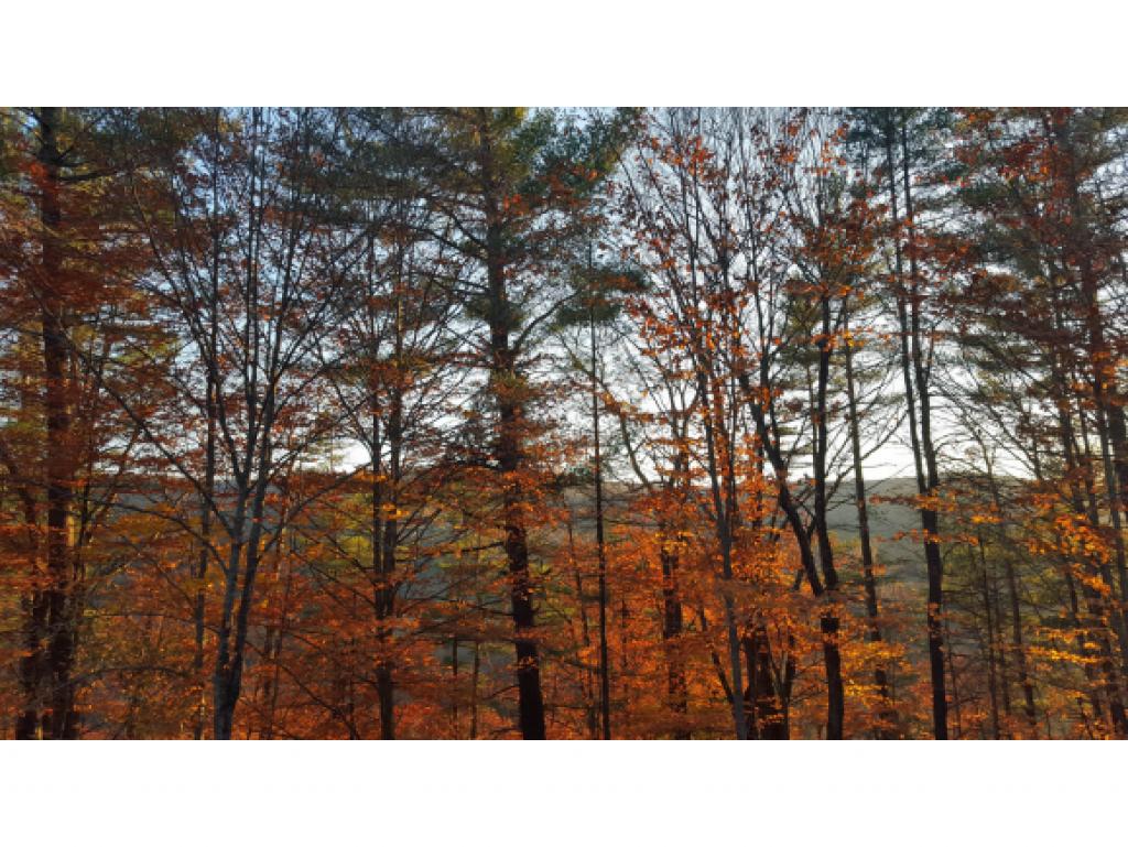 70 Grimes Hill Road Newfane, VT 05345 - Photo 25 of 26 Gallery Image 25