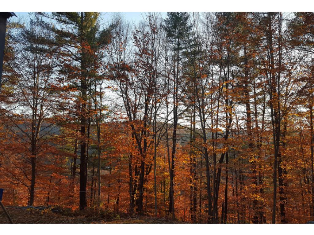 70 Grimes Hill Road Newfane, VT 05345 - Photo 26 of 26 Gallery Image 26