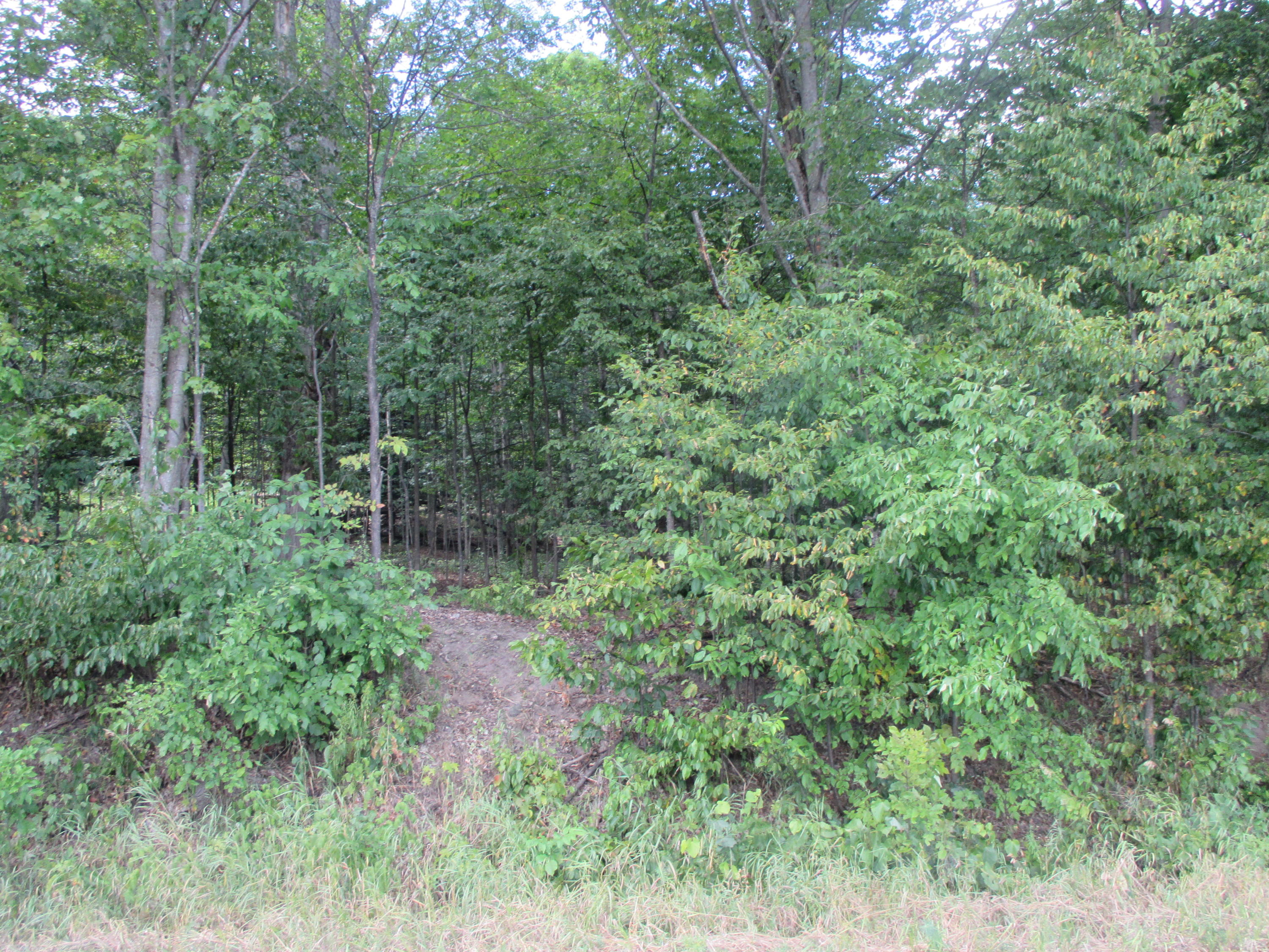 966 Sparr Road Gaylord, MI 49735 - Photo 1 of 7 Gallery Image 1