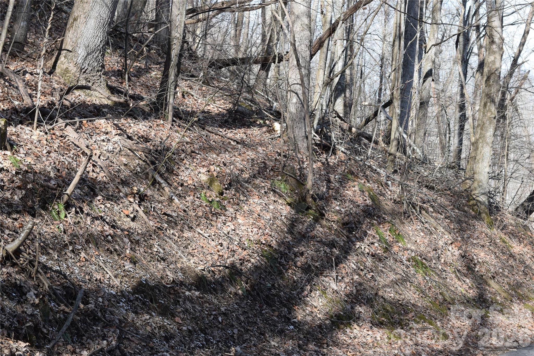 417-418 Multiflora Way, Unit 417&418 Waynesville, NC 28785 - Photo 12 of 27 a view of a large yard with lots of bushes