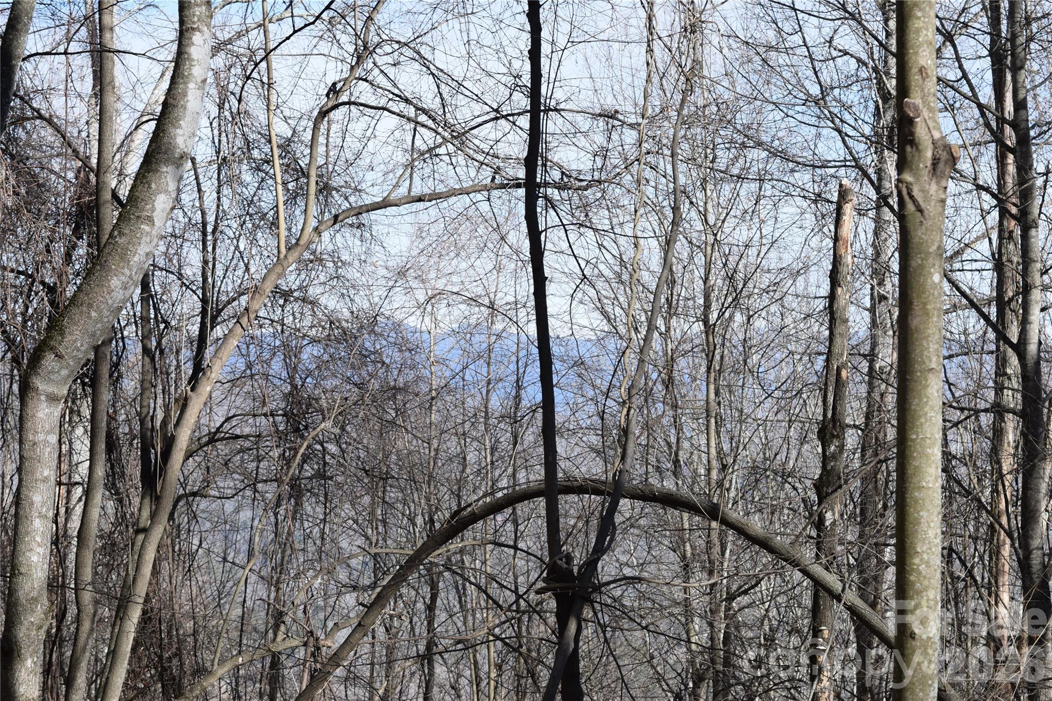 417-418 Multiflora Way, Unit 417&418 Waynesville, NC 28785 - Photo 13 of 27 a yard with trees in front of it