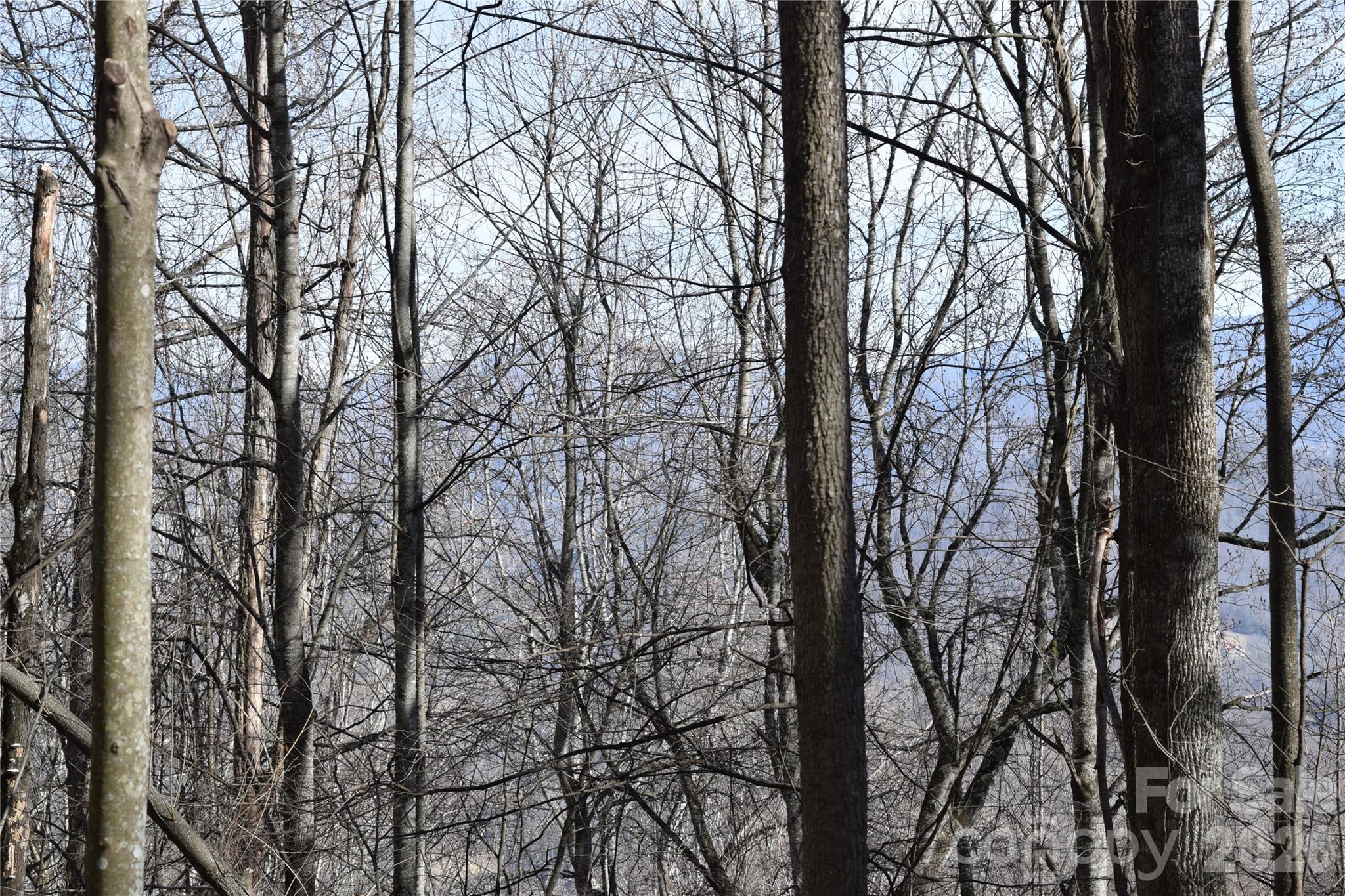 417-418 Multiflora Way, Unit 417&418 Waynesville, NC 28785 - Photo 14 of 27