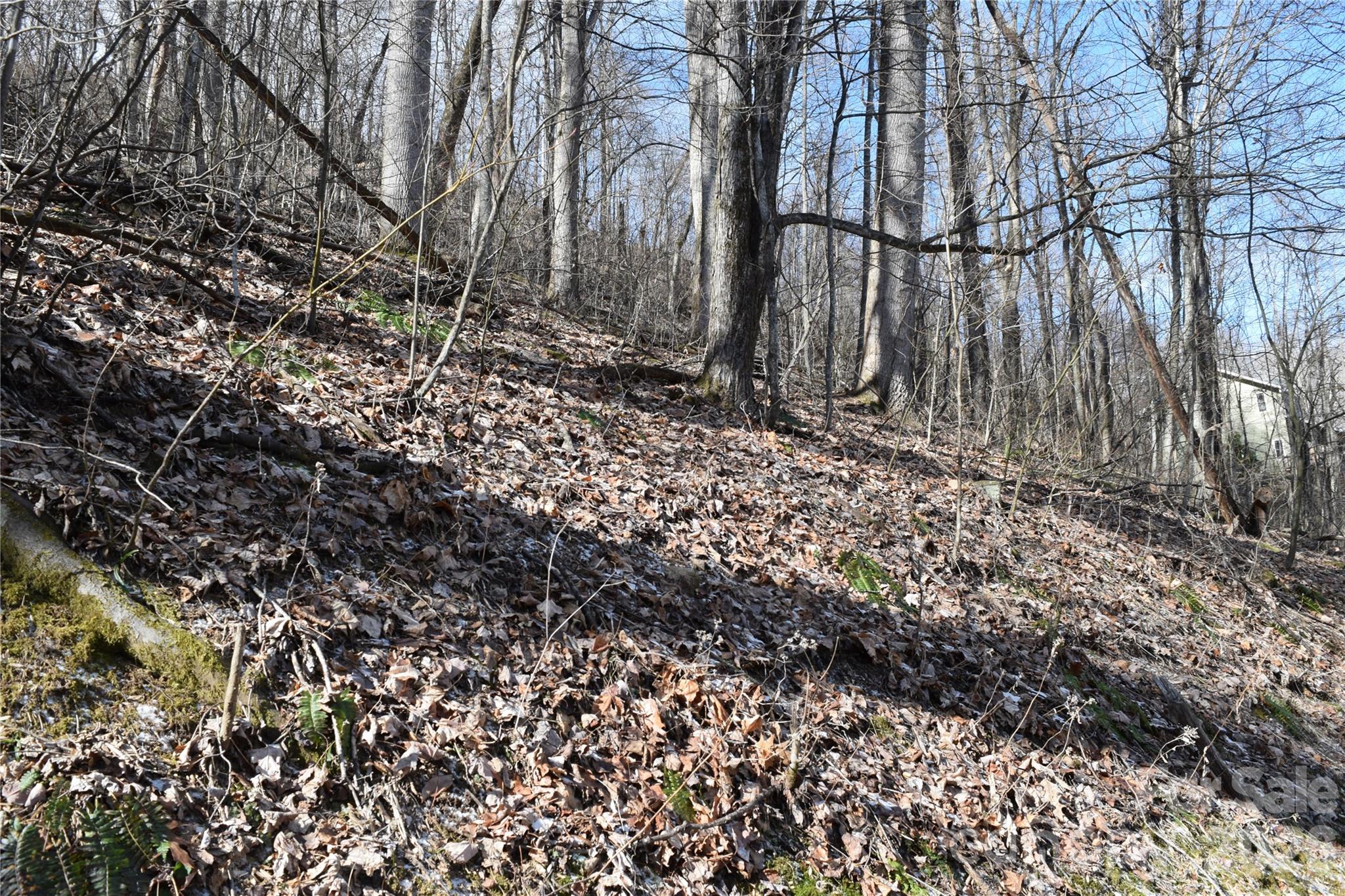 417-418 Multiflora Way, Unit 417&418 Waynesville, NC 28785 - Photo 16 of 27 a view of a backyard of the house