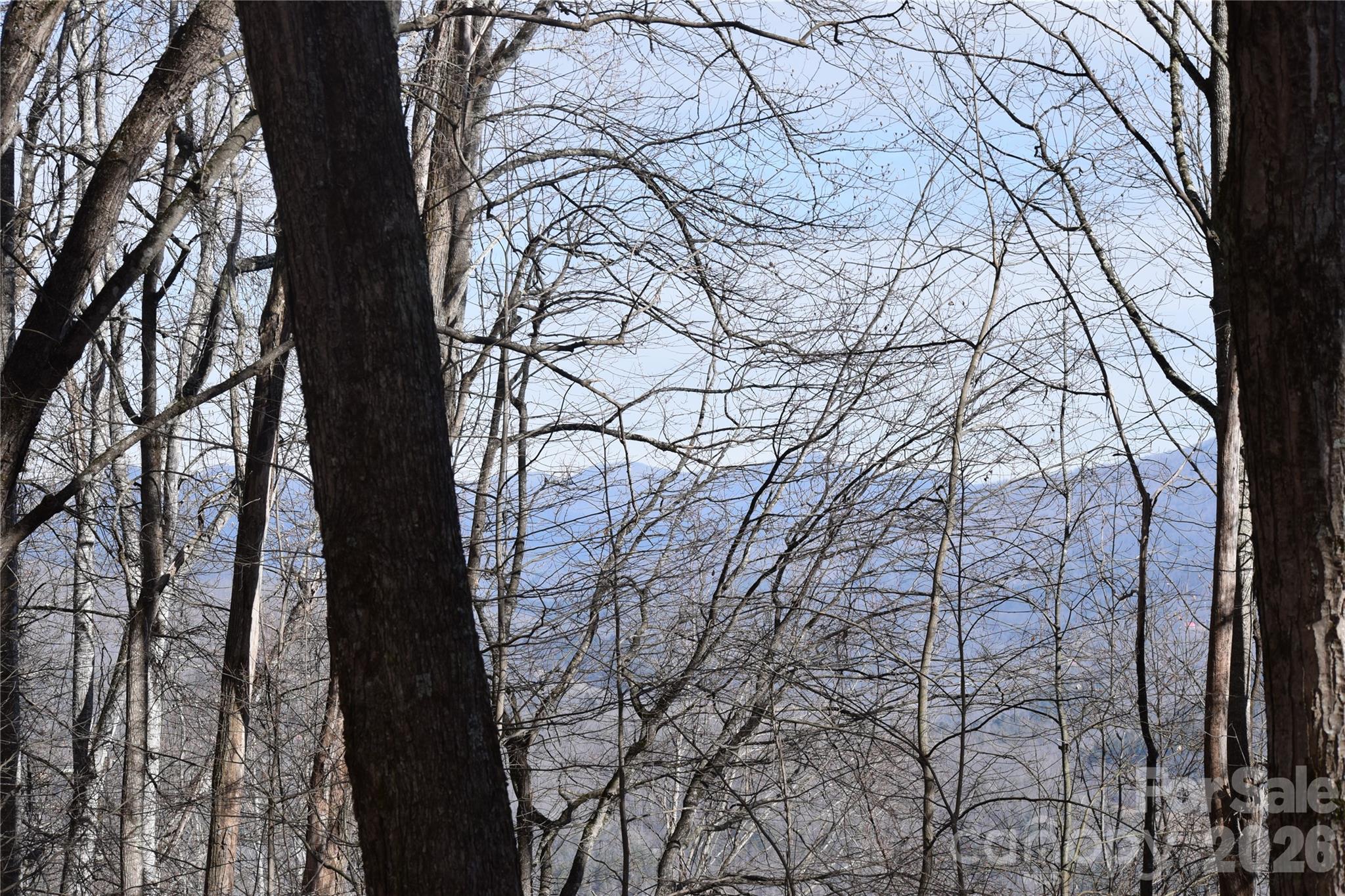 417-418 Multiflora Way, Unit 417&418 Waynesville, NC 28785 - Photo 20 of 27 a picture of tree