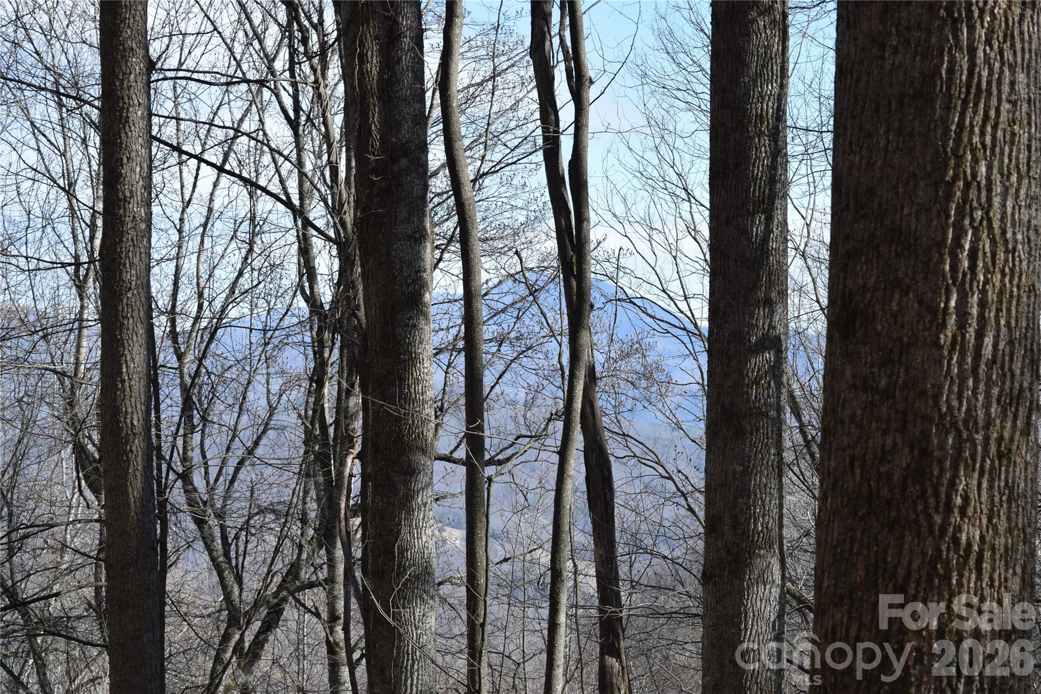 417-418 Multiflora Way, Unit 417&418 Waynesville, NC 28785 - Photo 2 of 27