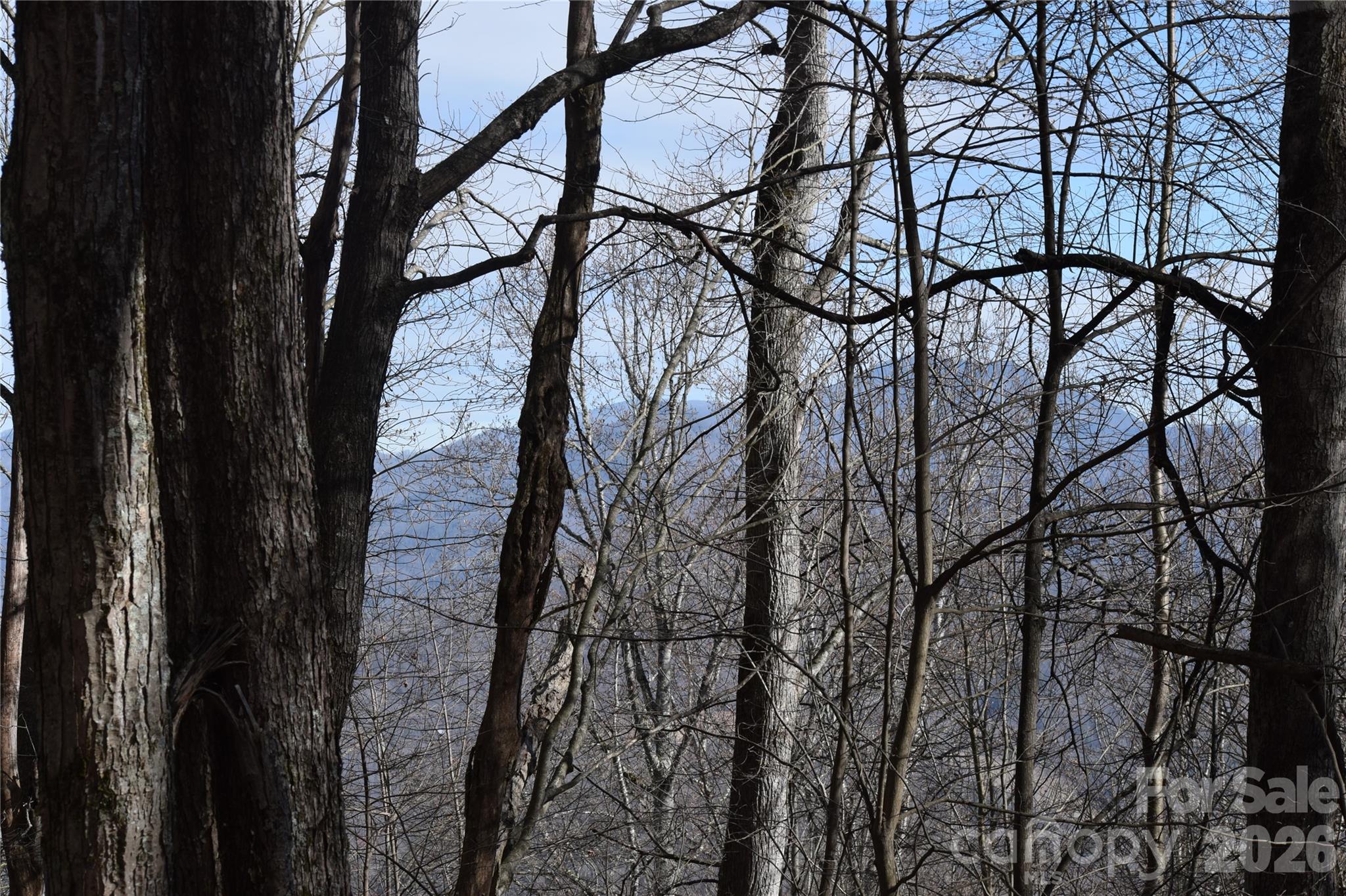 417-418 Multiflora Way, Unit 417&418 Waynesville, NC 28785 - Photo 21 of 27 a view of tree
