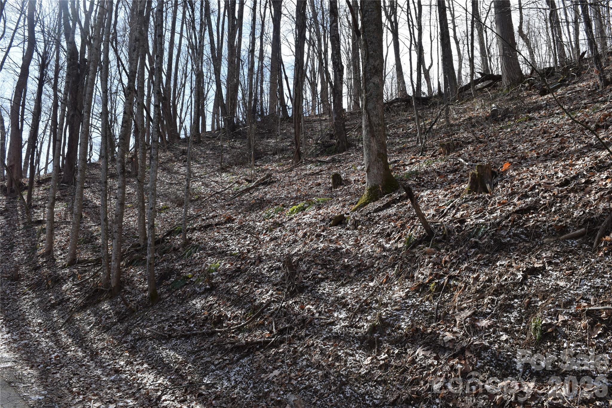 417-418 Multiflora Way, Unit 417&418 Waynesville, NC 28785 - Photo 23 of 27 a view of a backyard of the house