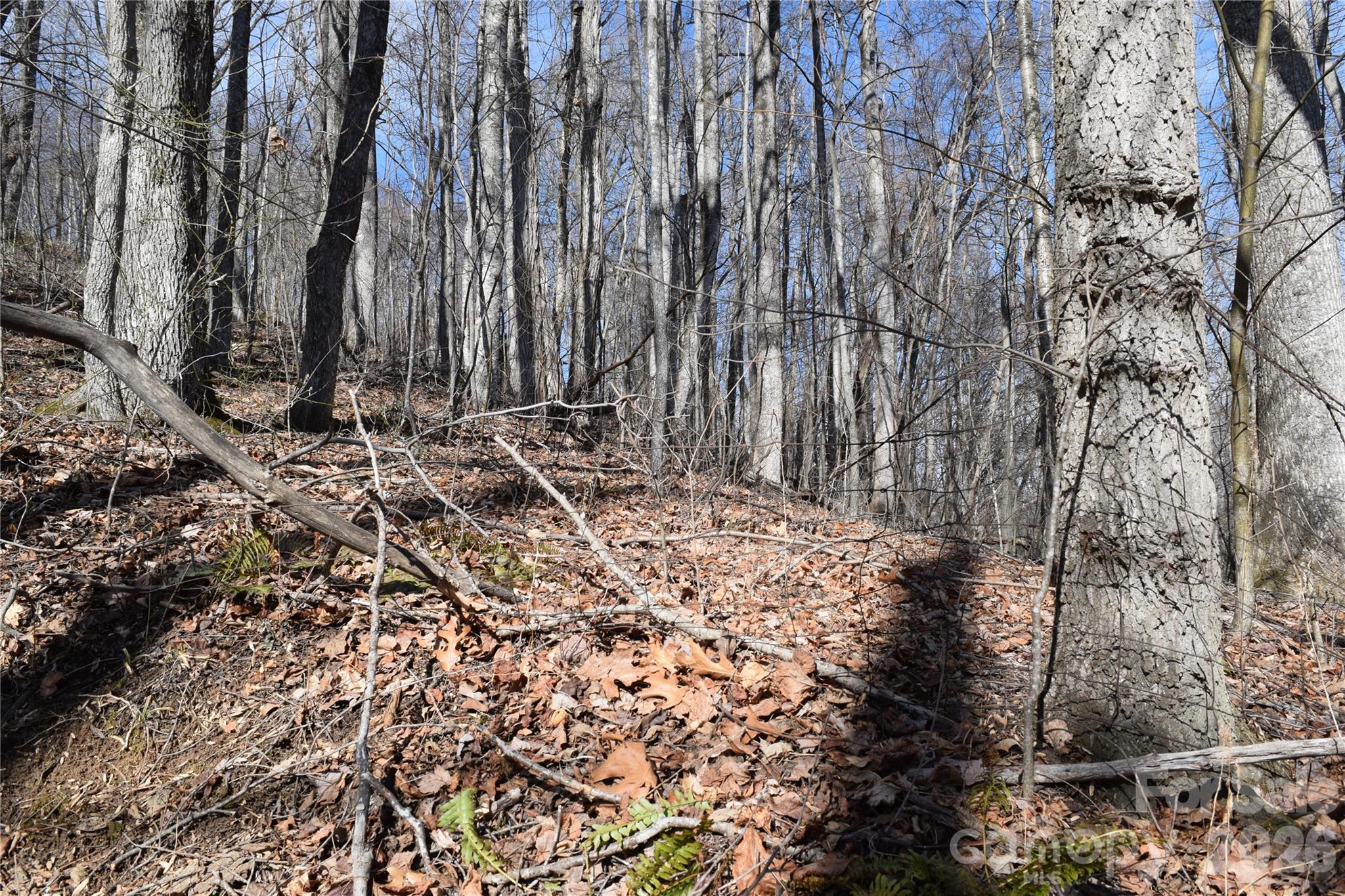 417-418 Multiflora Way, Unit 417&418 Waynesville, NC 28785 - Photo 4 of 27 a view of wooden fence