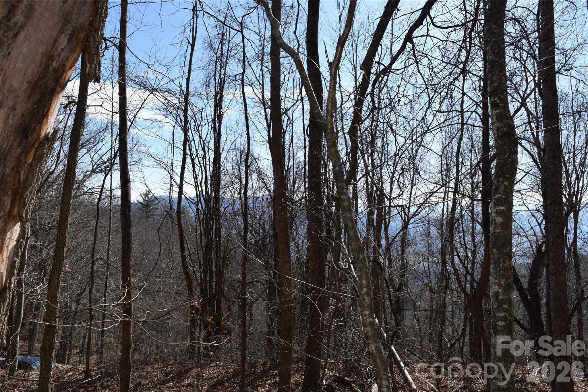 417-418 Multiflora Way, Unit 417&418 Waynesville, NC 28785 - Photo 7 of 27 a view of forest