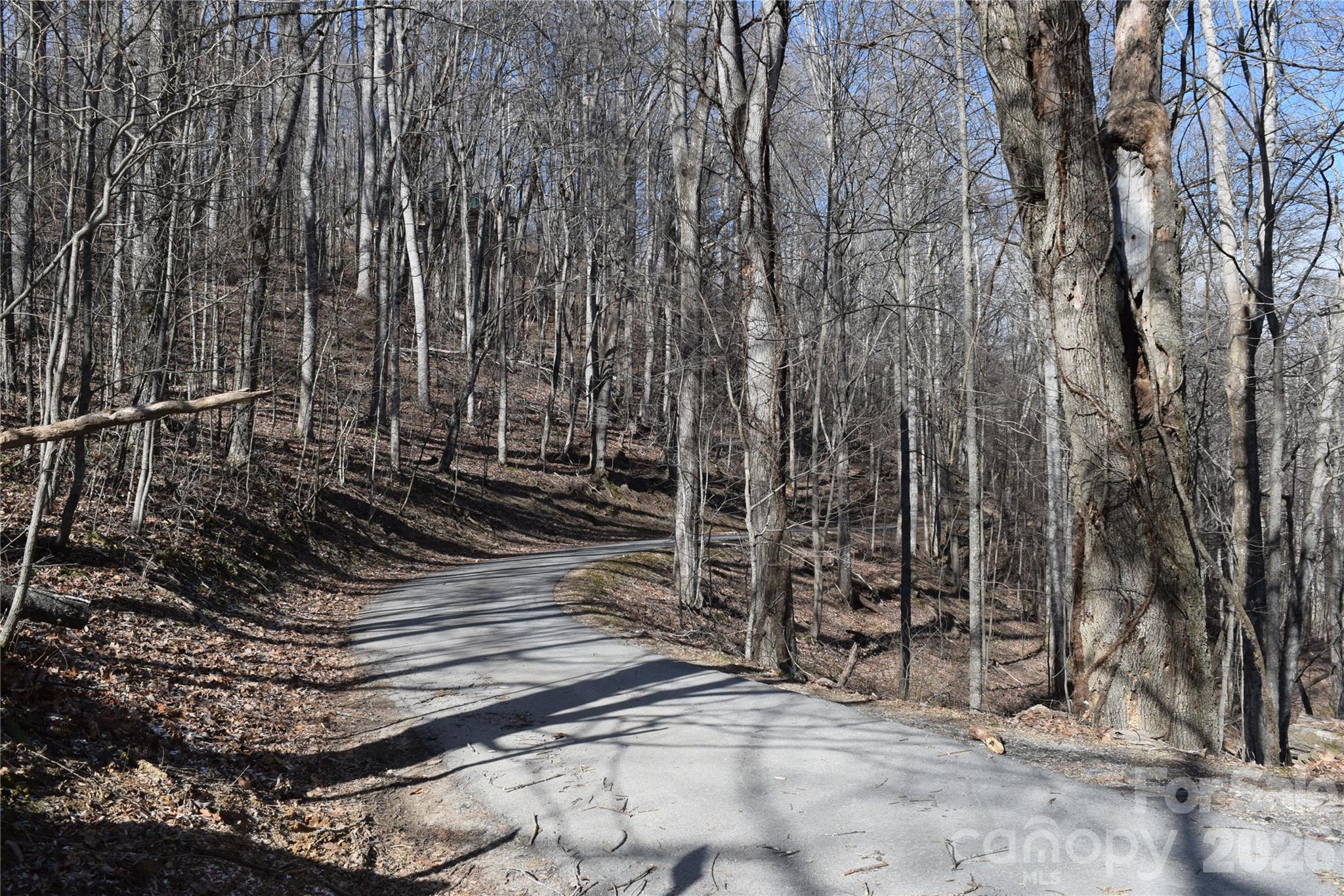 417-418 Multiflora Way, Unit 417&418 Waynesville, NC 28785 - Photo 8 of 27 a view of a backyard with trees