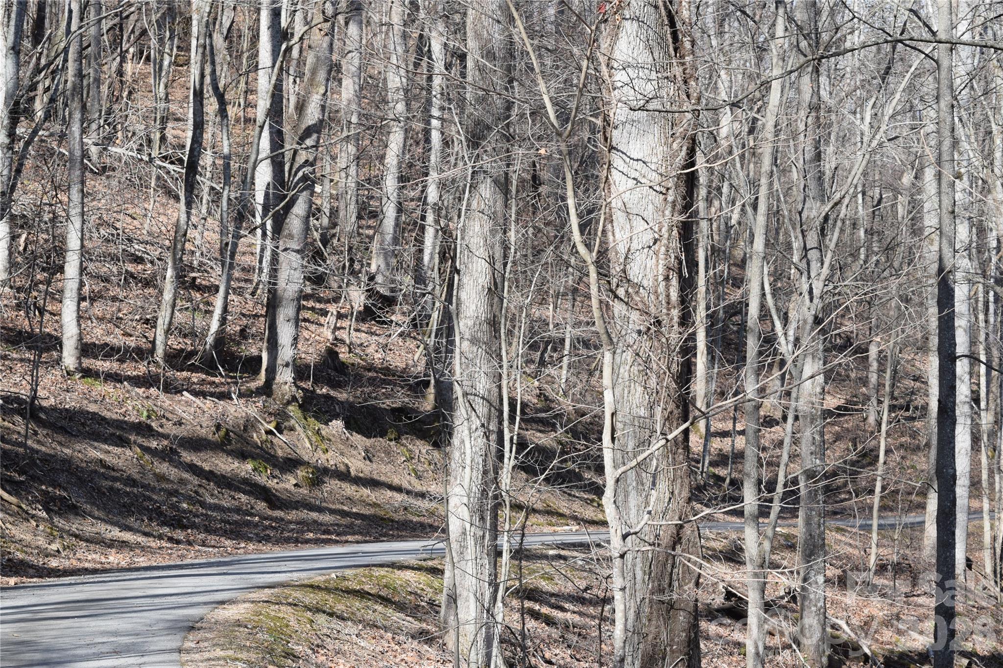 417-418 Multiflora Way, Unit 417&418 Waynesville, NC 28785 - Photo 9 of 27 a bathroom with a shower